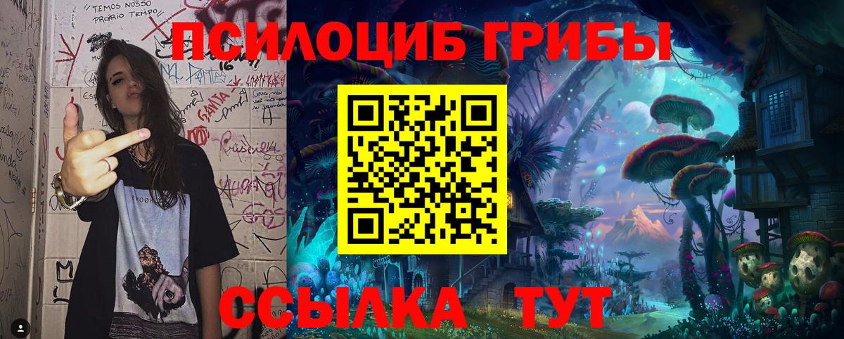 Псилоцибиновые грибы MAGIC MUSHROOMS  Вход с VPN  Вятские Поляны 