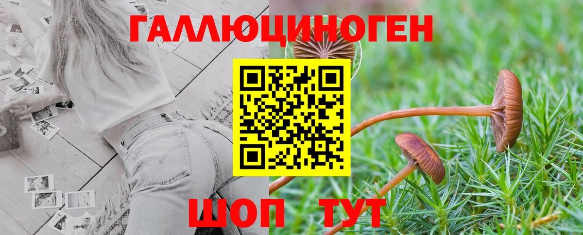 Галлюциногенные грибы Cubensis Вятские Поляны